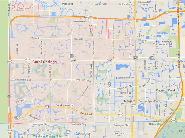 Best PPC, SEO & ORM services in Coral Springs