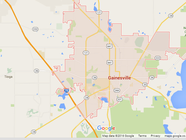Best PPC, SEO & ORM services in Gainesville