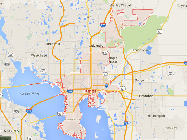 Best PPC, SEO & ORM services in Tampa