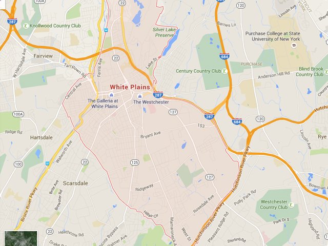 Best PPC, SEO & ORM services in White Plains 